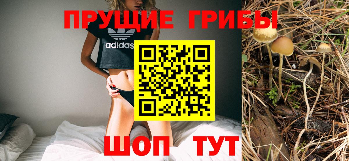 Псилоцибиновые грибы ЛСД  Галлюциногенные грибы MAGIC MUSHROOMS  Нижний Новгород  Вход с VPN 