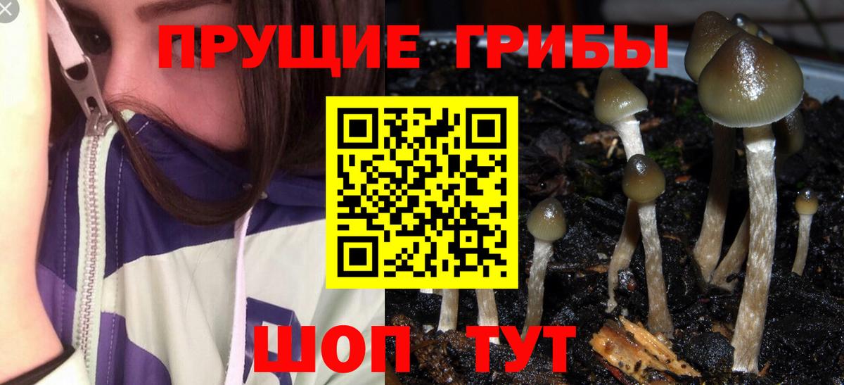 Псилоцибиновые грибы Magic Shrooms Нижний Новгород
